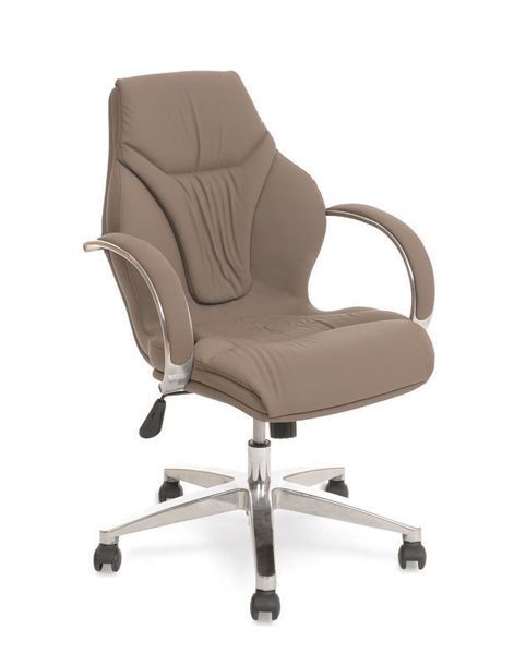 Etna Yönetici Makam Çalışma Bekleme Koltuğu