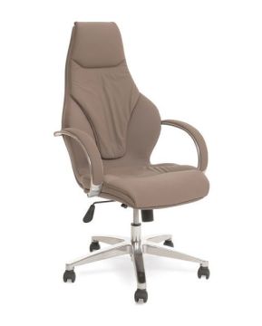 Etna Yönetici Makam Çalışma Bekleme Koltuğu