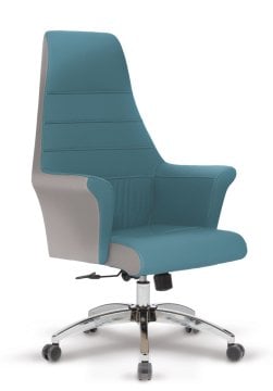 Dolce Müdür Koltuğu Çift Kollu Kuyruklu Tilt Mkz. Krom Yıldız Ayaklı