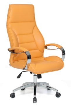 Sera Müdür Koltuğu Çift Kollu Tilt Mkz. Krom Yıldız Ayaklı